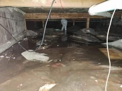 Finished Crawlspace with Clean Environment